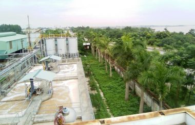 Bể sinh học hiếu khí