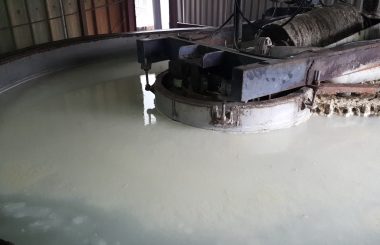 Tissue Sông Đuống