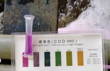 Kết quả test COD